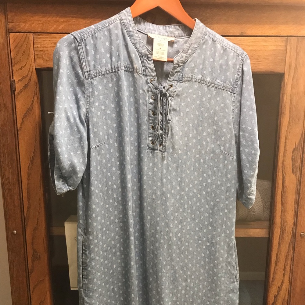 Philosophy Chambray dress